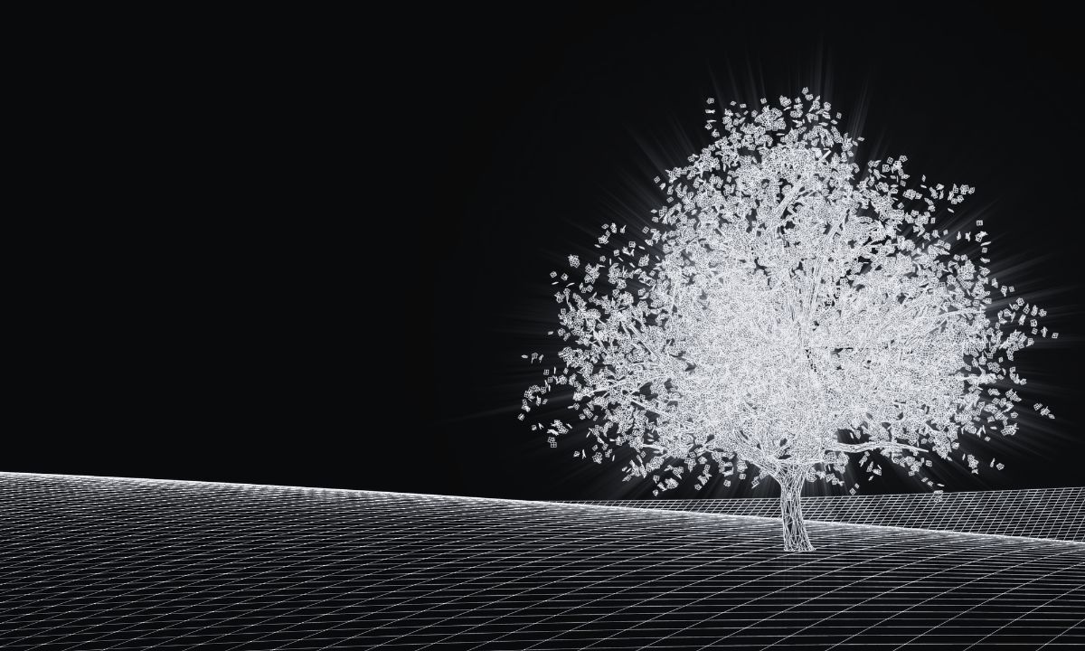 Yukesh Chaudhary Nepal digital ecosystem